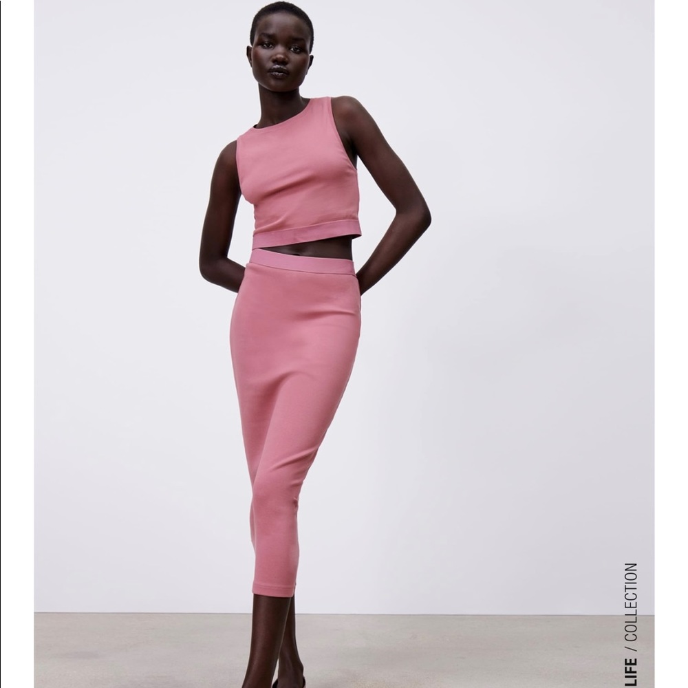 ZARA Fitted Skirt and High Neck Cropped Top